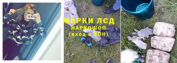 винт Липки